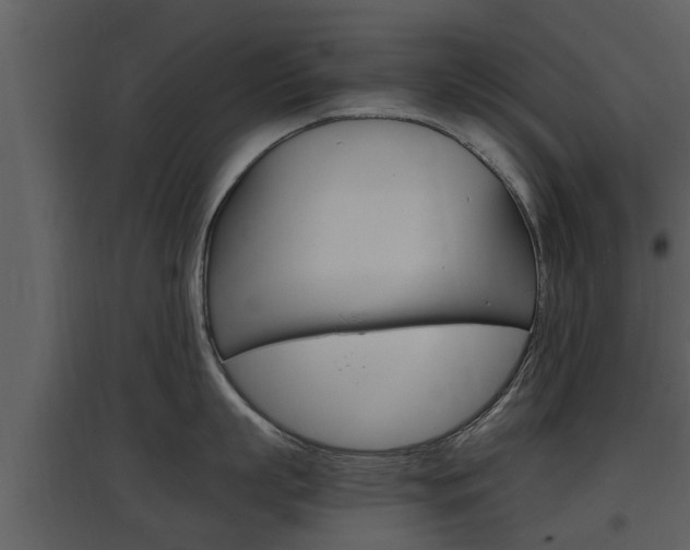 X0000097840863200803140833