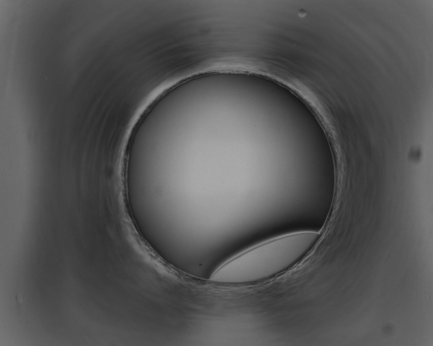 X0000097840864200803140833
