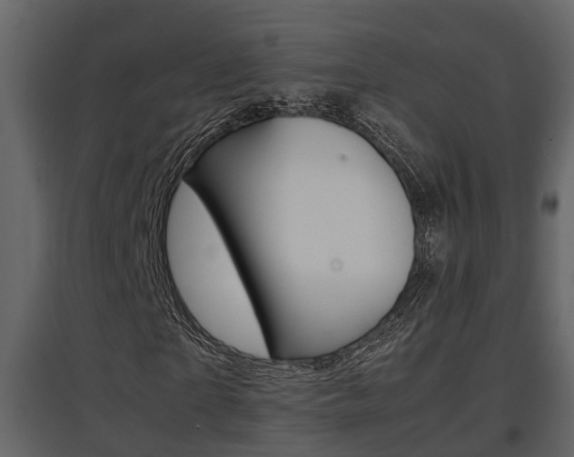 X0000097840865200803140832