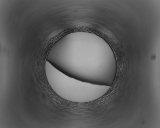 X0000097840869200803140832