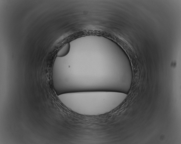 X0000097840870200803140832