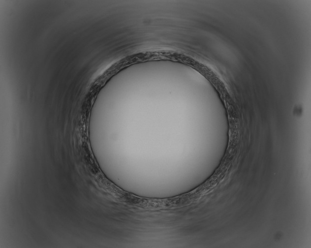 X0000097840871200803140832