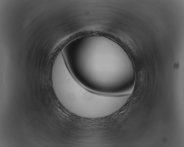 X0000097840872200803140832