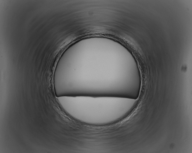 X0000097840873200803140832