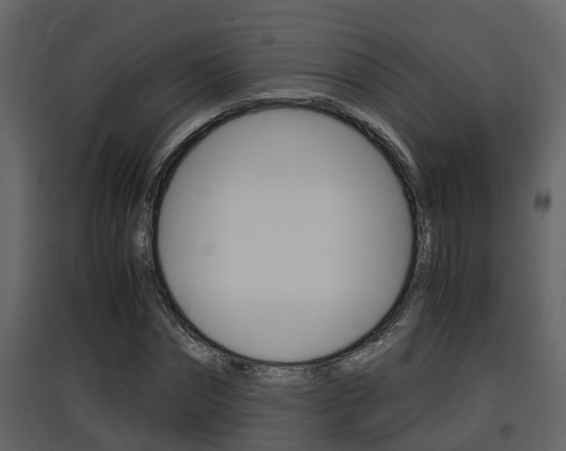 X0000097840874200803140832