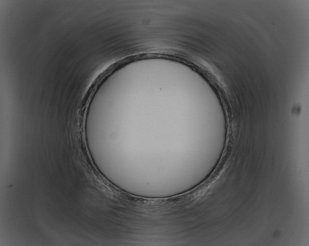 X0000097840875200803140832