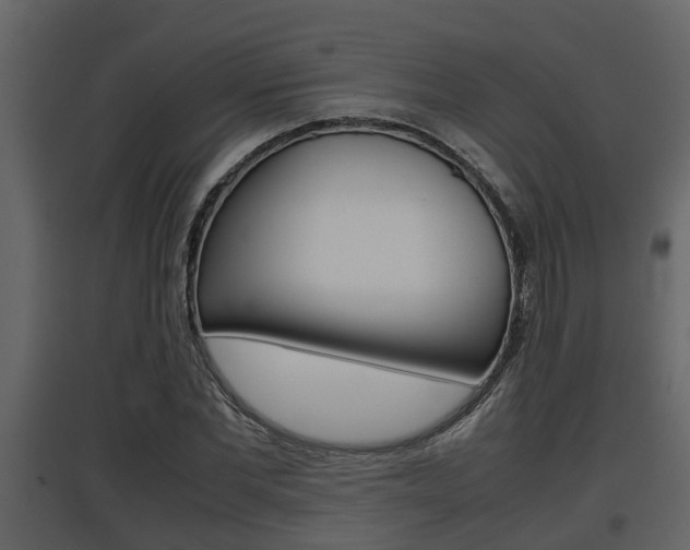 X0000097840877200803140832