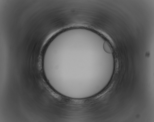 X0000097840878200803140832
