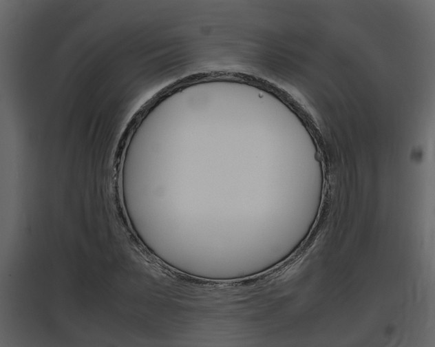 X0000097840879200803140832