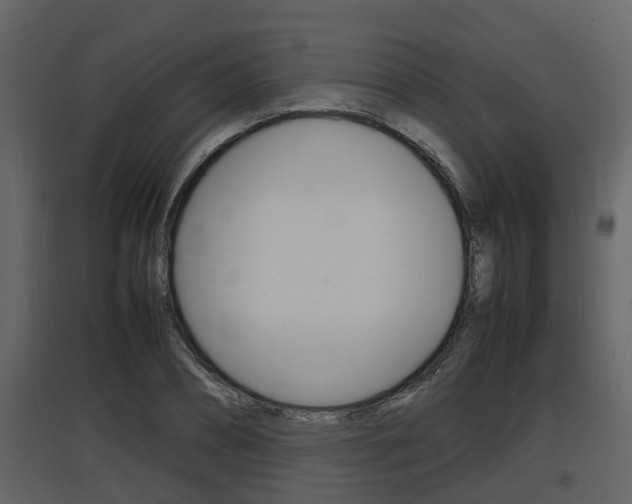 X0000097840882200803140832