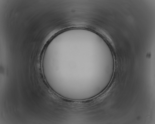 X0000097840883200803140832