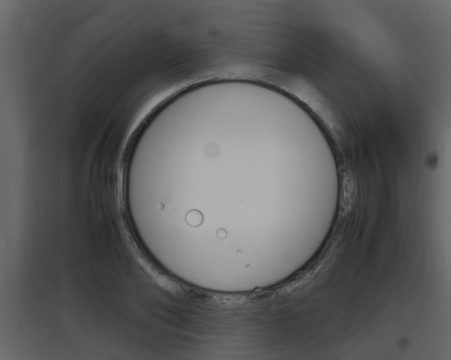 X0000097840886200803140832