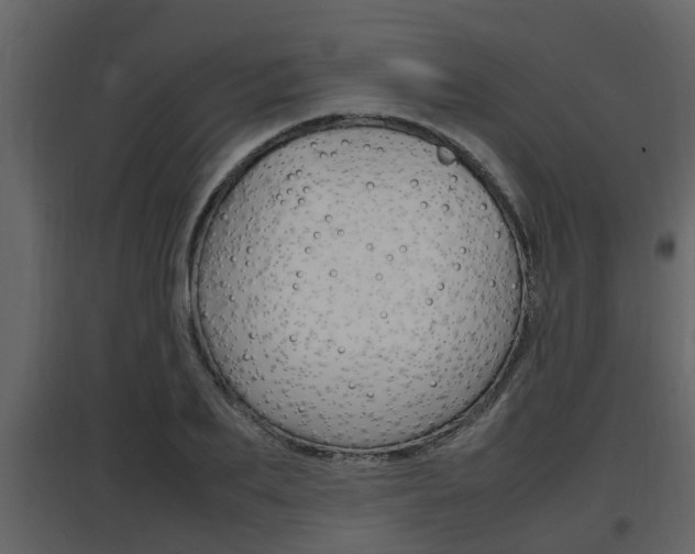 X0000097840887200803140832