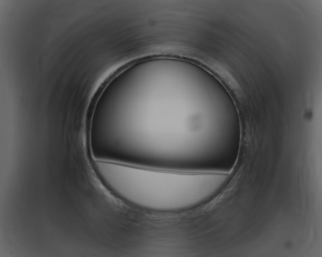 X0000097840888200803140832