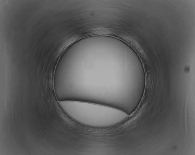 X0000097840889200803140832