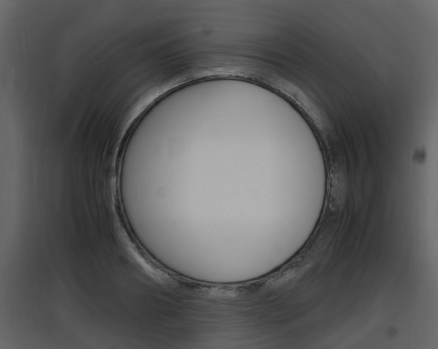 X0000097840890200803140832