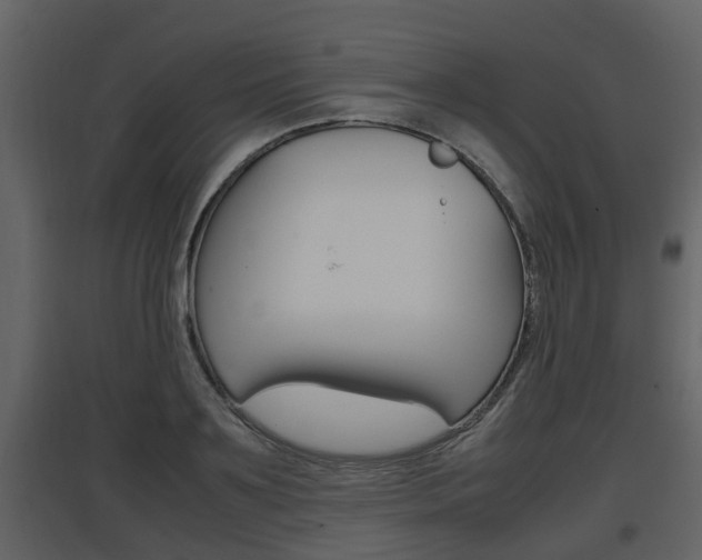 X0000097840891200803140832