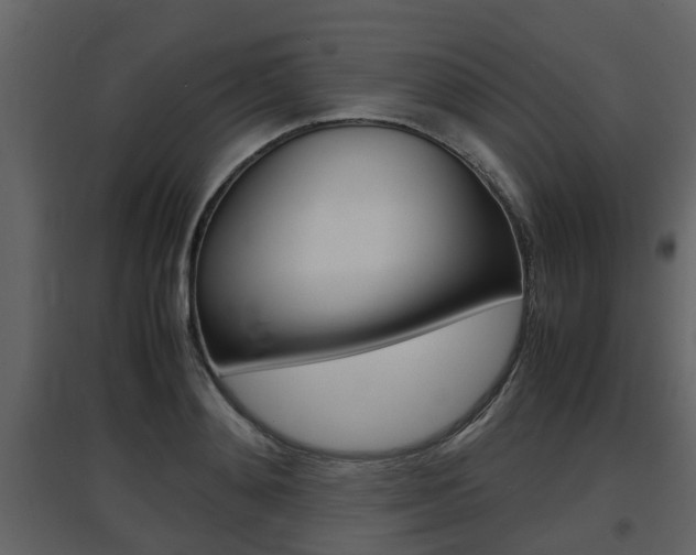 X0000097840892200803140832