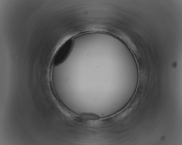 X0000097840893200803140832