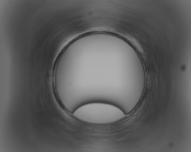 X0000097840895200803140832