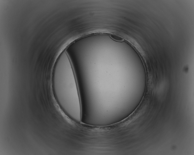 X0000097840898200803140832
