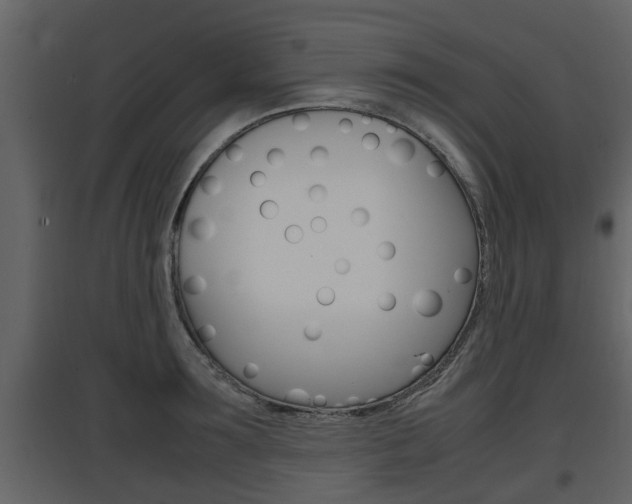 X0000097840899200803140832
