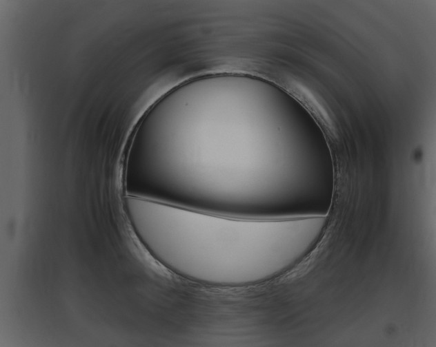 X0000097840900200803140832
