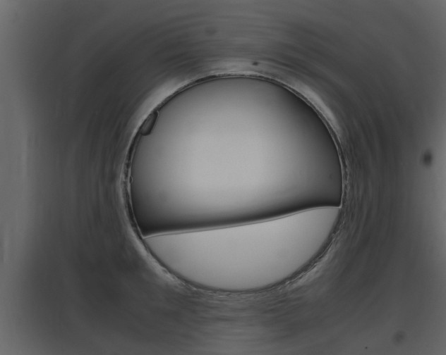 X0000097840901200803140832