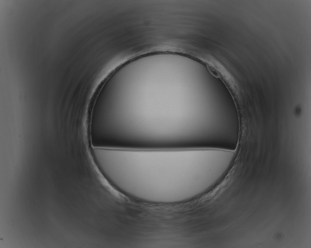 X0000097840902200803140832
