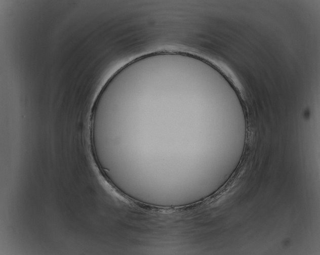 X0000097840903200803140832