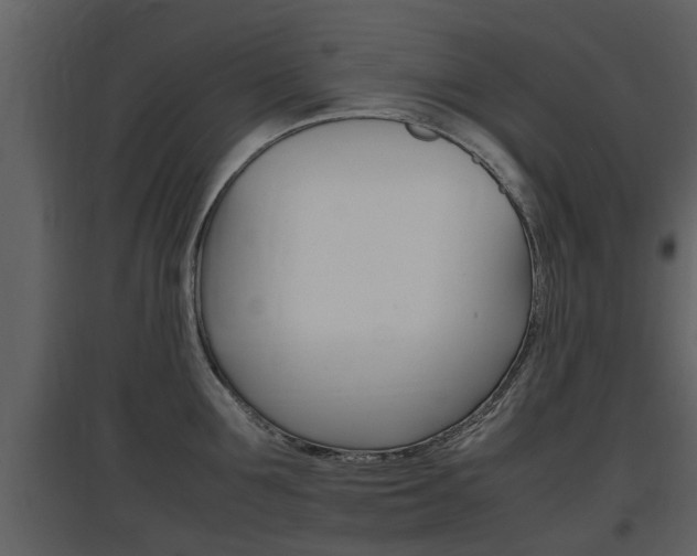 X0000097840907200803140832
