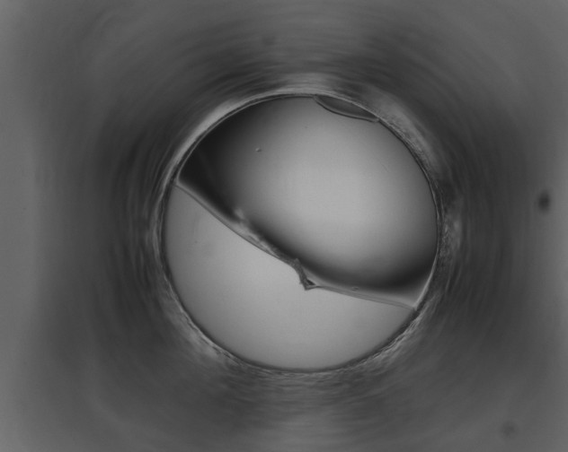 X0000097840908200803140832