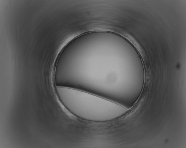 X0000097840909200803140832