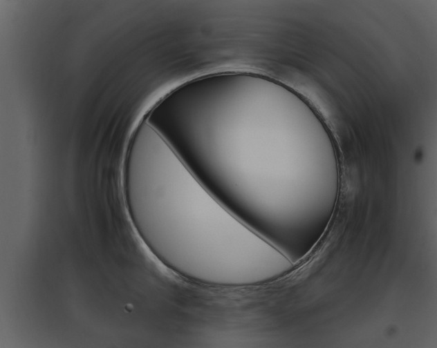 X0000097840910200803140832