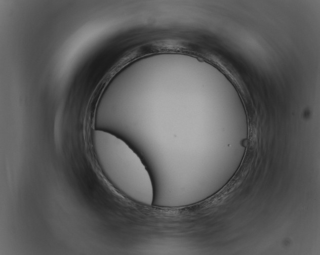 X0000097840911200803140832