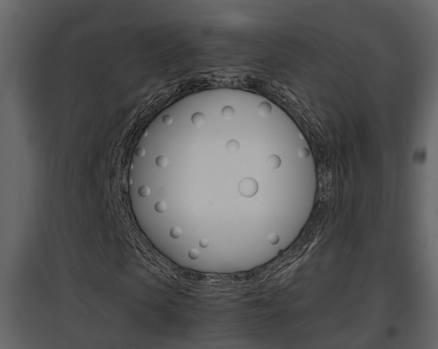 X0000097840913200803140831