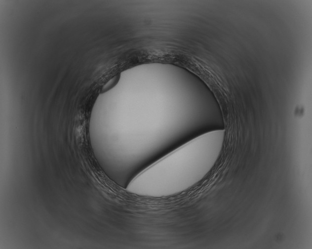 X0000097840914200803140831