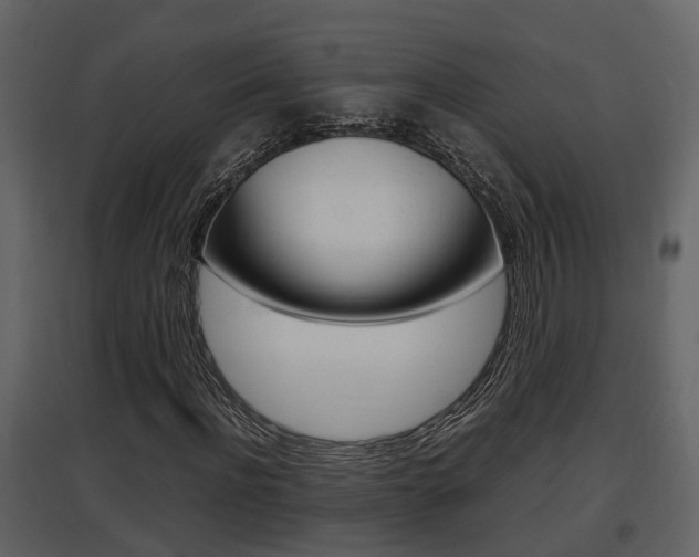 X0000097840916200803140831