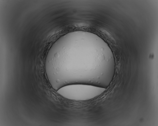 X0000097840917200803140831