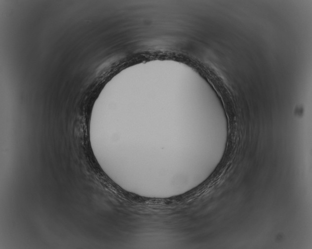 X0000097840918200803140831
