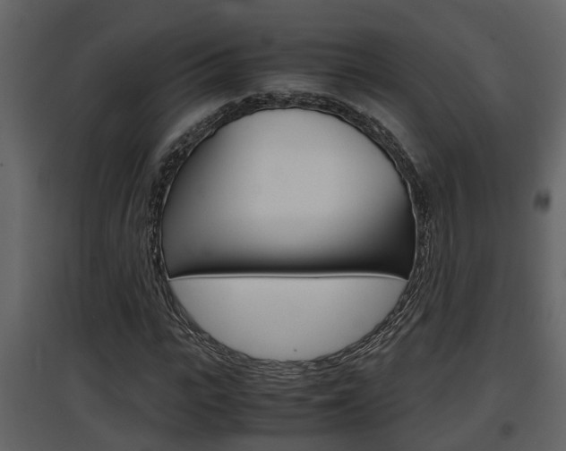 X0000097840919200803140831