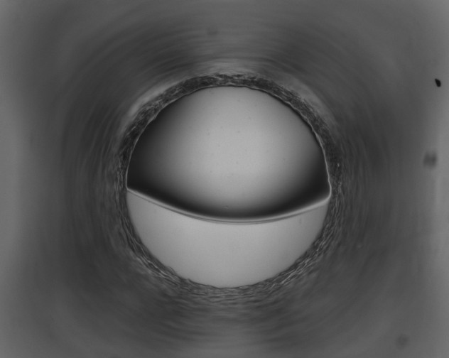 X0000097840920200803140831