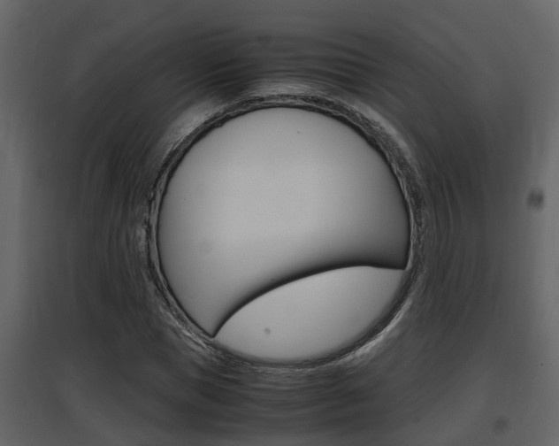 X0000097840921200803140831
