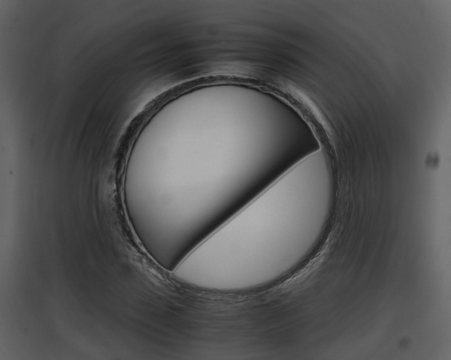 X0000097840923200803140831
