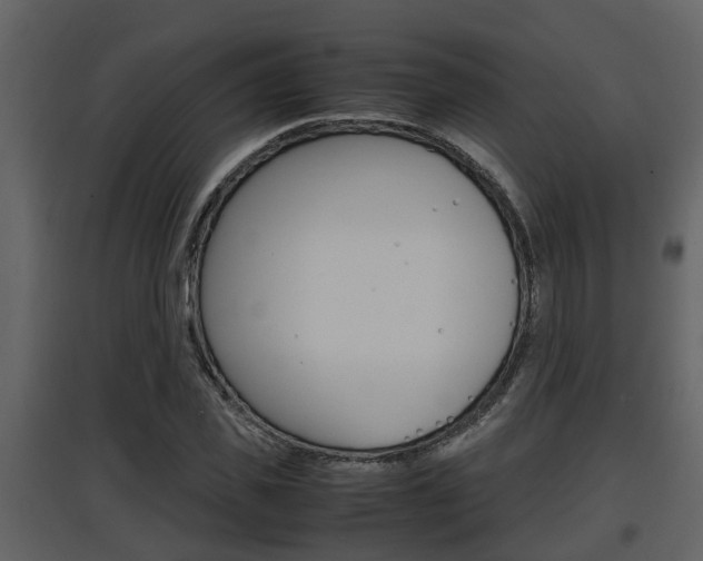 X0000097840925200803140831