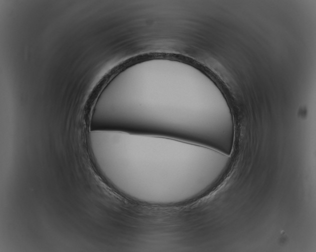 X0000097840926200803140831