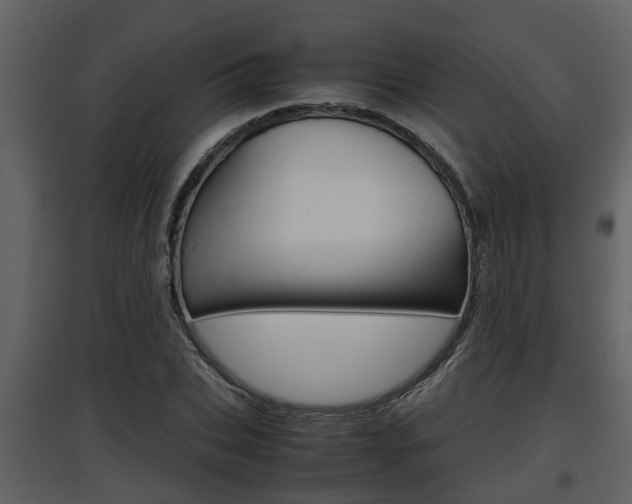 X0000097840927200803140831