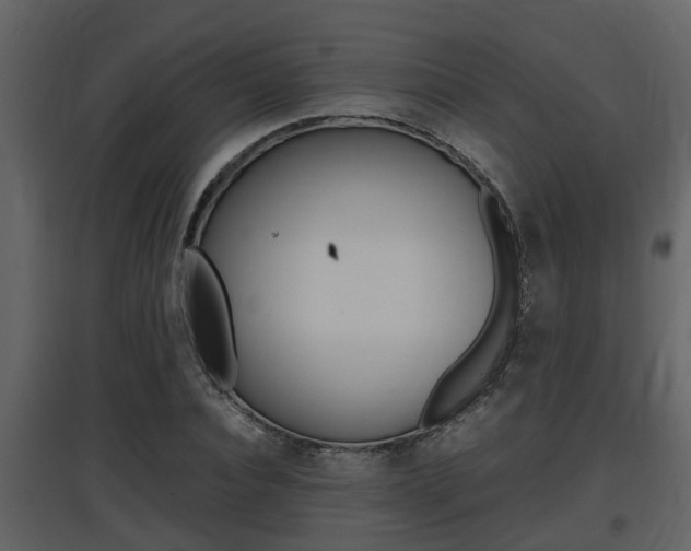 X0000097840928200803140831
