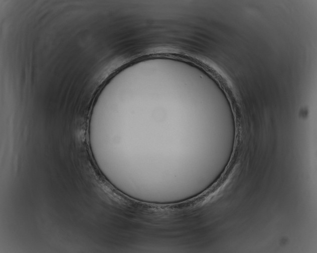 X0000097840929200803140831