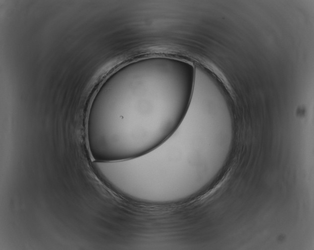 X0000097840930200803140831
